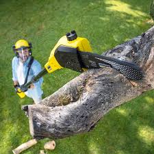 Best Hazardous Tree Removal  in Moweaqua, IL